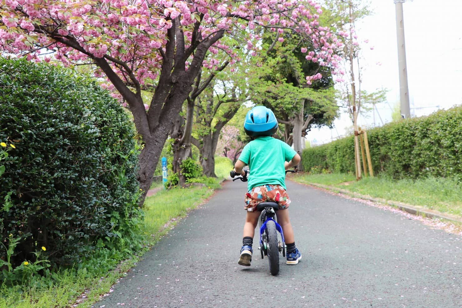 何 歳 から 自転車 に 乗れる