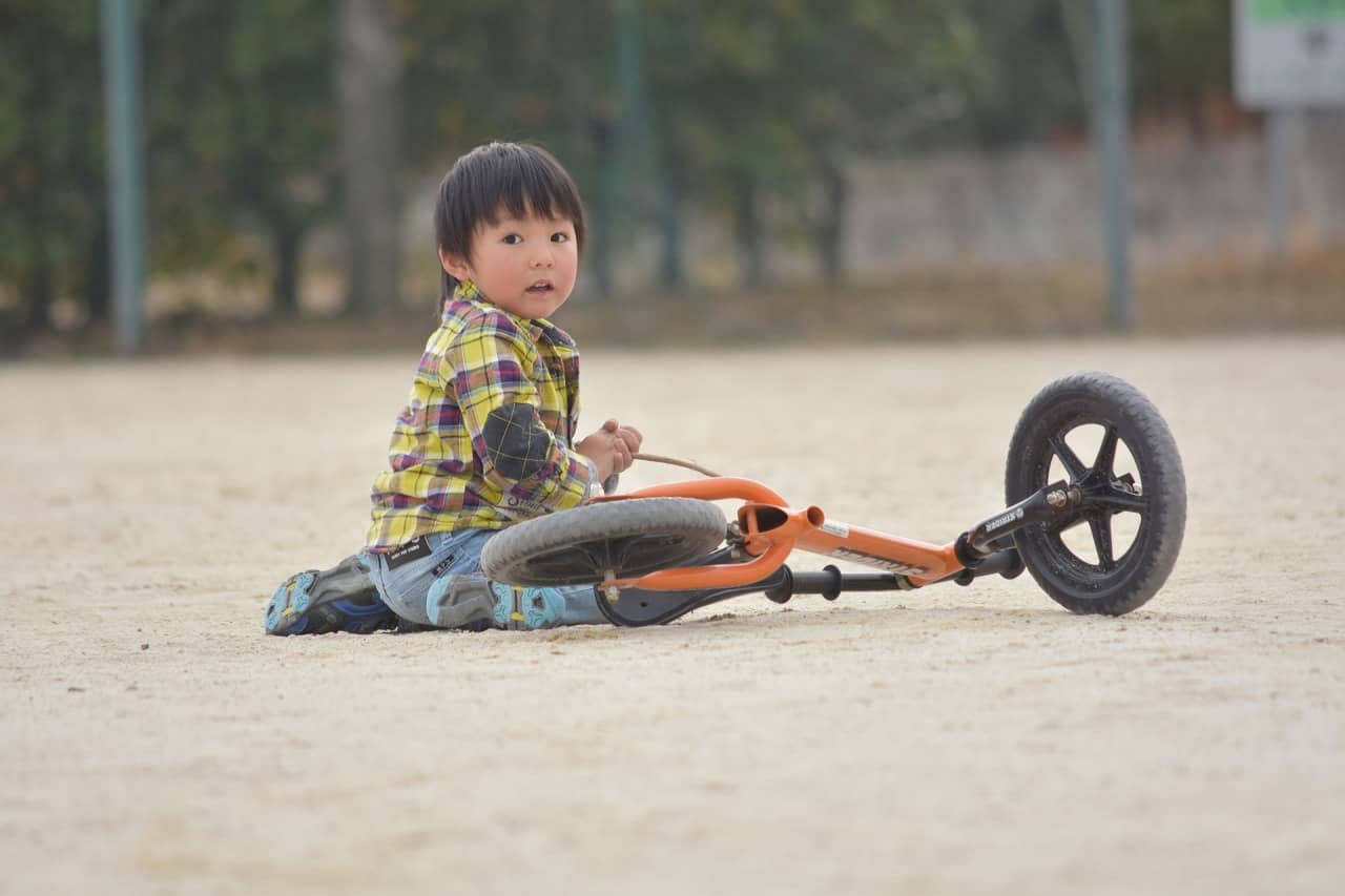 2歳の子供が乗るなら 三輪車とストライダーどっちがおすすめ はいチーズ Clip