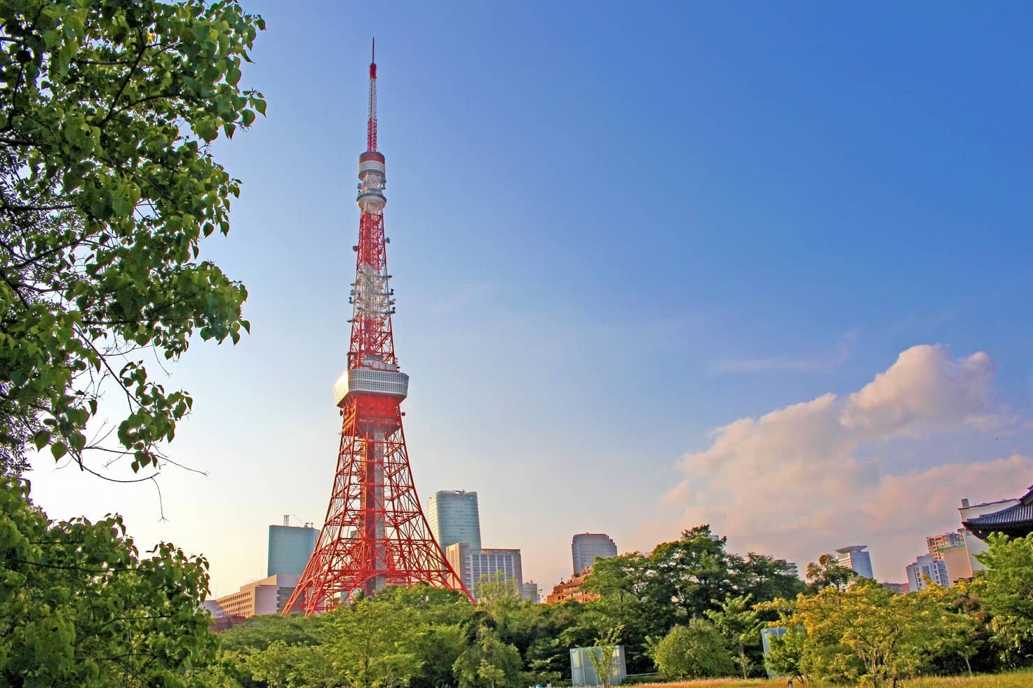 東京都のおでかけにおすすめ 0歳 5歳の子供連れで楽しめる人気