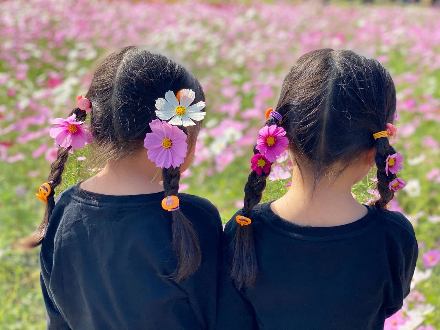 5歳の子供の成長と発達の目安は? 育てるポイントや小学校の準備も | はいチーズ!クリップ