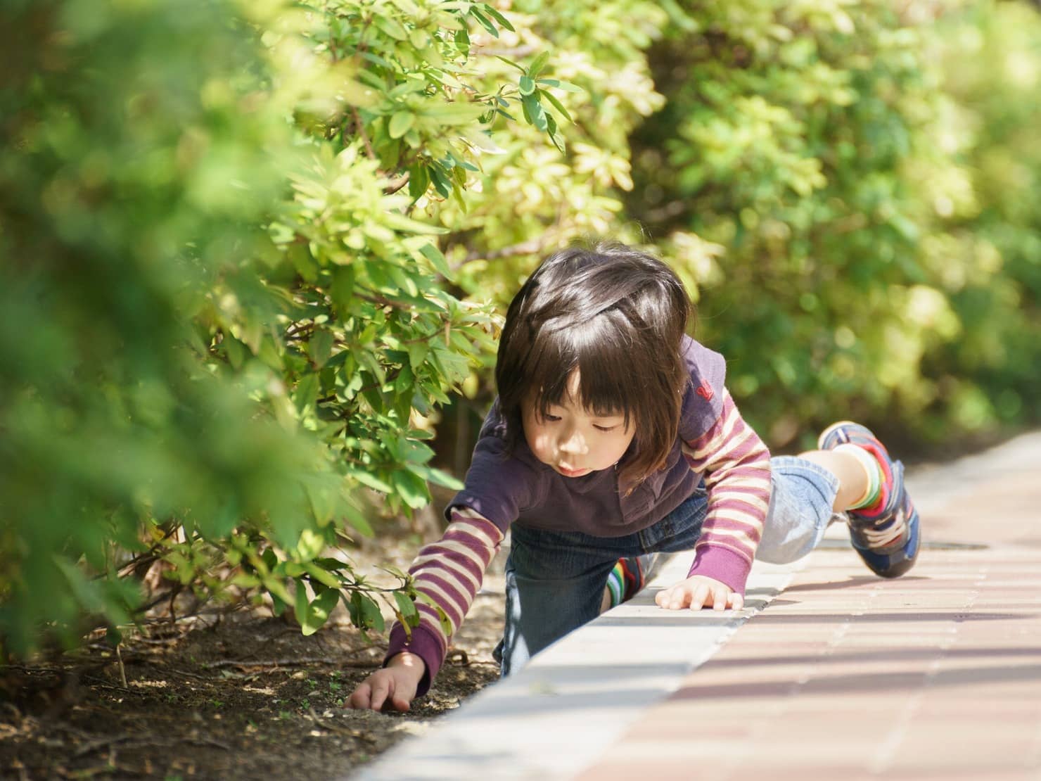 5歳の子供の成長と発達の目安は? 育てるポイントや小学校の準備も | はいチーズ!クリップ