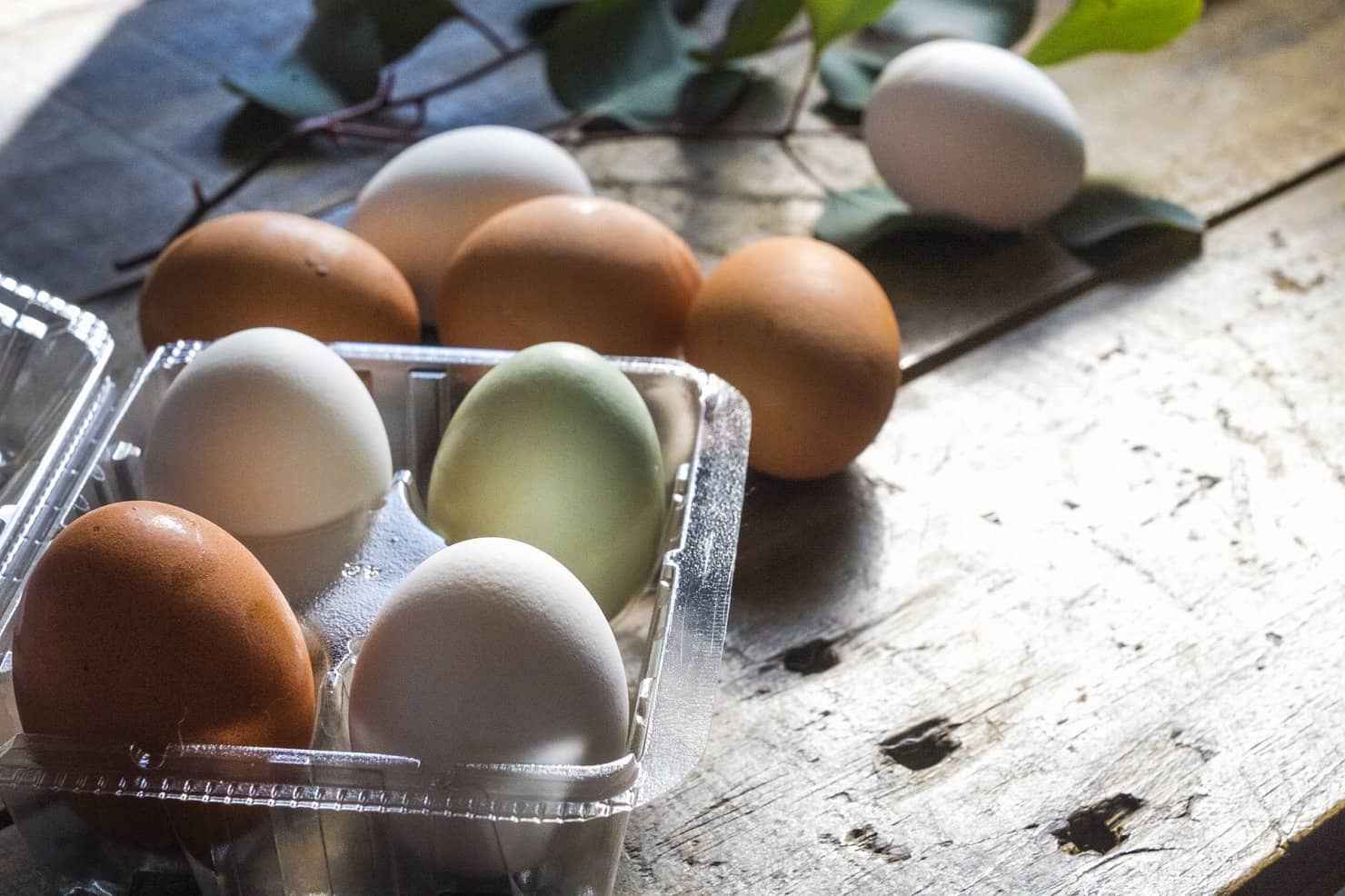 管理栄養士監修 離乳食の卵はいつから 進め方は マヨネーズや生卵は 与える頻度やレシピも紹介 はいチーズ Clip