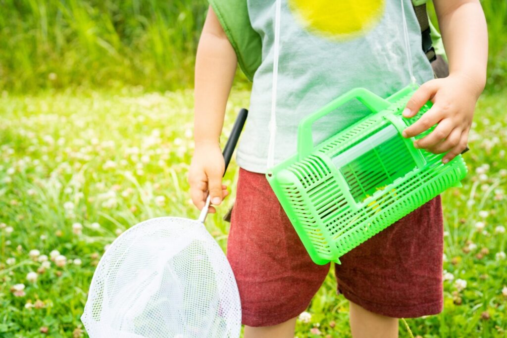 子供におすすめの虫かご9選 採集 飼育 カブトムシ用など用途別に紹介 はいチーズ Clip