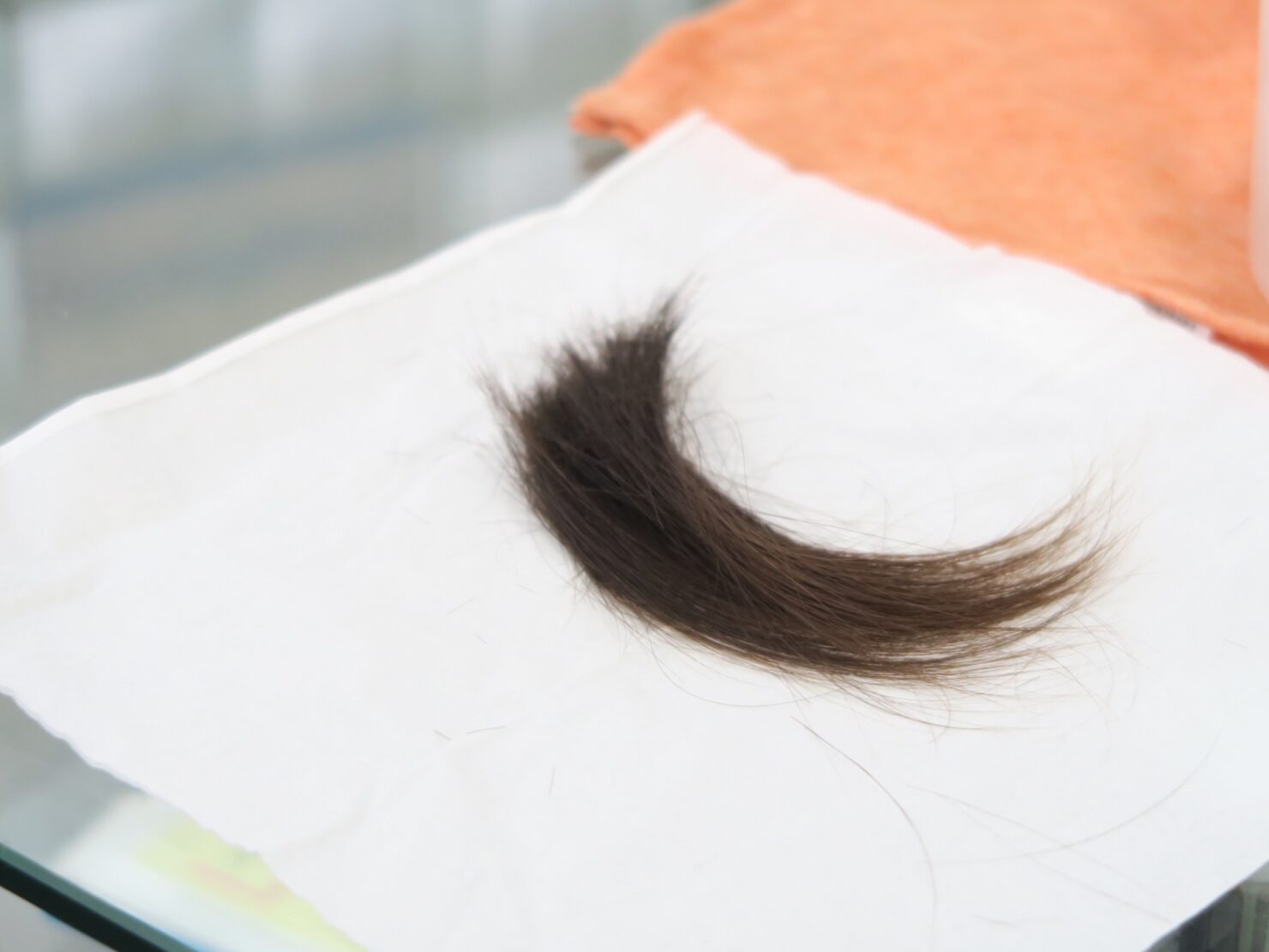 赤ちゃんの髪の毛から作る筆が記念品に人気